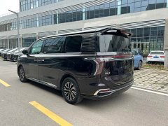 Hongqi HQ9 PHEV 2.0T four-wheel drive business version - фото 16