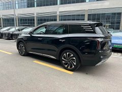 Hongqi HS7 PHEV 2.0T PHEV four-wheel drive Qichang version 6 seats - фото 16