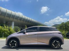 BYD Dolphin 2021 405km fashion version - фото 4