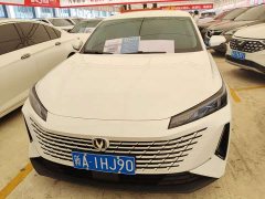 Changan Yida Blue Whale NE 1.5T GDI DCT Exclusive Type - фото 2