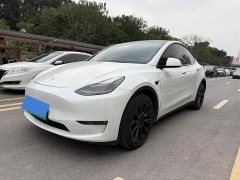 Tesla Model Y facelift long-range all-wheel drive version 3D5 - фото 1