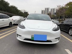 Tesla Model Y facelift long-range all-wheel drive version 3D5 - фото 3