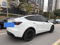 Tesla Model Y facelift long-range all-wheel drive version 3D5 - фото 4