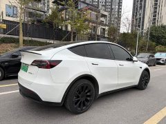 Tesla Model Y facelift long-range all-wheel drive version 3D5 - фото 5