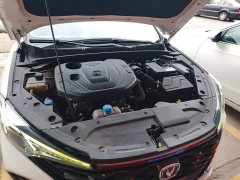 Ford EADO PLUS Blue Whale NE 1.4T GDI DCT flagship - фото 20