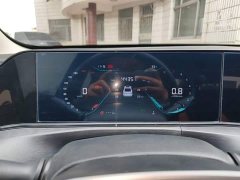 Ford Eado 2022 PLUS 1.6L GDI Manual Elite - фото 12