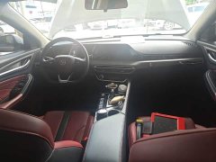 Ford EADO PLUS Blue Whale NE 1.4T GDI DCT Premium Type - фото 10