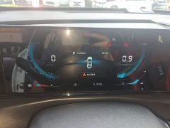 Ford EADO PLUS Blue Whale NE 1.4T GDI DCT Premium Type - фото 12