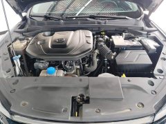 Ford EADO 2021 PLUS Blue Whale NE 1.4T GDI DCT Premium Type - фото 10