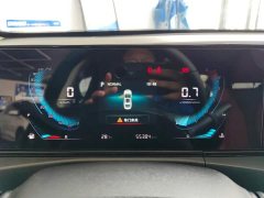 Ford EADO 2021 PLUS Blue Whale NE 1.4T GDI DCT Premium Type - фото 14