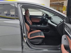 Ford EADO PLUS Blue Whale NE 1.4T GDI DCT Premium Edition - фото 8