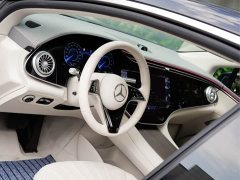 Mercedes-Benz EQS 2023 450 Pioneer Edition - фото 10