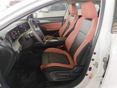 Ford EADO PLUS Blue Whale NE 1.4T GDI DCT High Energy Edition - фото 15
