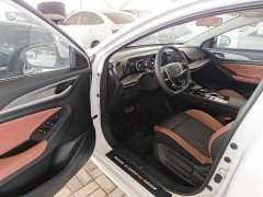 Ford EADO PLUS Blue Whale NE 1.4T GDI DCT High Energy Edition - фото 16