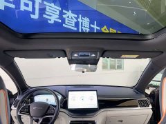 BYD Song PLUS New Energy Champion Edition DM-i 110KM Flagship PLUS - фото 20
