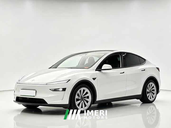 Tesla Model Y rear-wheel drive version - автомобиль из Китая