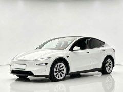 Tesla Model Y rear-wheel drive version - фото 1