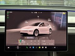 Tesla Model Y rear-wheel drive version - фото 18