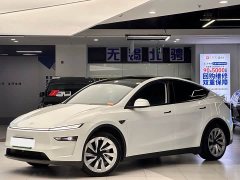 Tesla Model Y rear-wheel drive version - фото 2