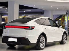 Tesla Model Y rear-wheel drive version - фото 4