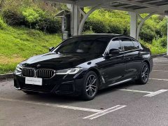 BMW 5 Series facelift 2 525Li M sports package - фото 1