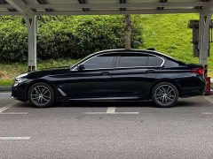 BMW 5 Series facelift 2 525Li M sports package - фото 2