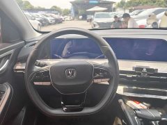 Ford EADO Enjoy Edition PLUS Blue Whale NE 1.4T GDI DCT Premium Edition - фото 7