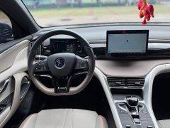 BYD Song Pro New Energy Honor Edition DM-i 71KM Leading - фото 16