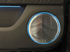 Hongqi Golden Sunflower Guoyao 4.0T Elegant Flagship Edition 6 seats - фото 10