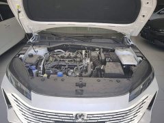 Ford Eado 2025 Blue Whale 1.5T 500Bar Premium Type - фото 20