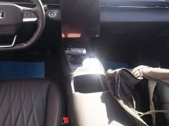 Ford Eado 1.5T GDI automatic flagship - фото 14