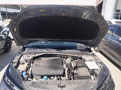 Ford Eado 1.5T GDI automatic flagship - фото 20