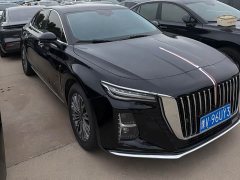 Hongqi H5 2023 1.5T DCT Zhilian Qiyun Edition - фото 3