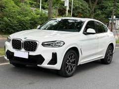 BMW X4 xDrive 25i M Sports Package - фото 1