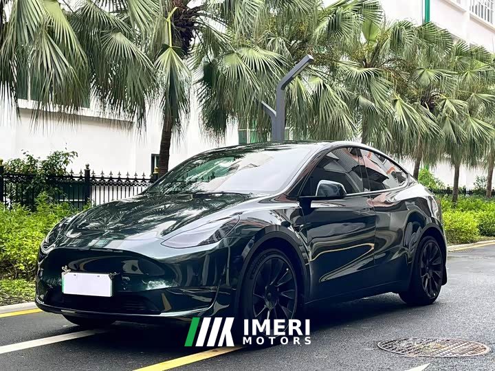 Tesla Model Y 2021 standard range rear-wheel drive version - автомобиль из Китая