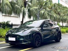Tesla Model Y 2021 standard range rear-wheel drive version - фото 1