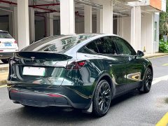 Tesla Model Y 2021 standard range rear-wheel drive version - фото 14