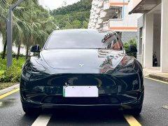 Tesla Model Y 2021 standard range rear-wheel drive version - фото 2