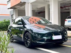 Tesla Model Y 2021 standard range rear-wheel drive version - фото 3