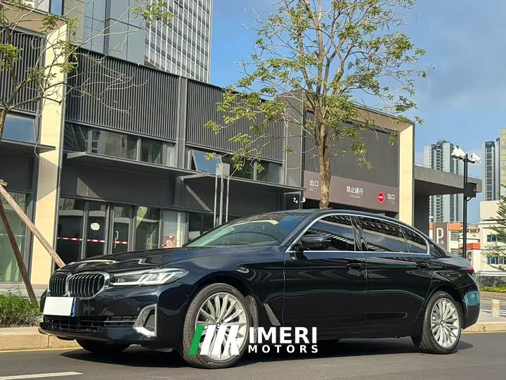 BMW 5 Series 530Li Exclusive Luxury Package - автомобиль из Китая