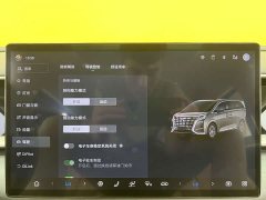 Denza D9 2022 DM-i 970 four-wheel drive premium - фото 20