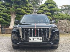 Hongqi HS5 2025 2.0T two-wheel drive Qixiang Pro version - фото 2