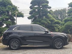 Hongqi HS5 2025 2.0T two-wheel drive Qixiang Pro version - фото 4