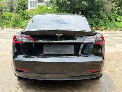 Tesla Model 3 rear-wheel drive version - фото 12