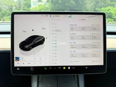Tesla Model 3 rear-wheel drive version - фото 5