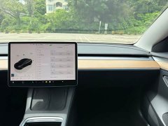 Tesla Model 3 rear-wheel drive version - фото 8