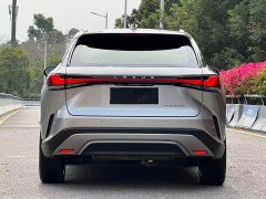 Lexus RX 350h four-wheel drive premium version - фото 18