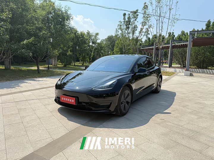 Tesla Model 3 Standard Range Rear Drive Upgraded Version - автомобиль из Китая