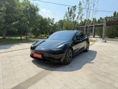 Tesla Model 3 Standard Range Rear Drive Upgraded Version - фото 1