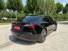 Tesla Model 3 Standard Range Rear Drive Upgraded Version - фото 8